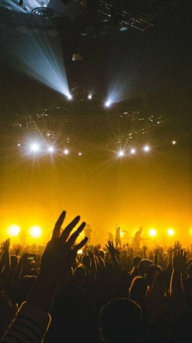 Maximalist Concert  Digital Display (9:16) template