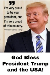 Maximalist Donal Trump Pinterest Graphic template