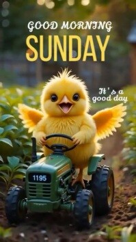 Maximalist Good Morning Sunday  Whatsapp Status template