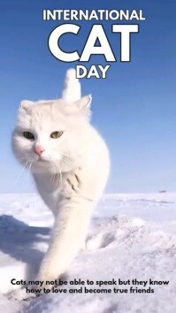 Maximalist International Cat Day Instagram Reel template