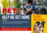 Maximalist Lost Pet Postcard  Postcard ไปรษณียบัตร template
