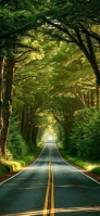Maximalist Misty Road  Snapchat Geofilter template