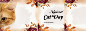 白色 National Cat Day Zdjęcie w tle na Facebooka Template