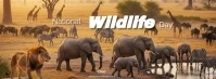 Maximalist  National Wildlife Day Facebook Cover Photo template