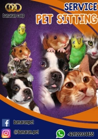 Maximalist Pet Sitting Service A4 template