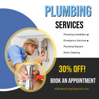 Maximalist Plumbing Services  Instagram Post template