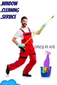 Maximalist Window Cleaning Poster Cartaz template