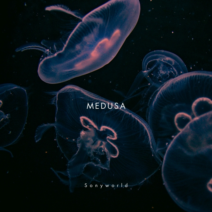 Medusa Music Web CD Cover Pochette d'album template