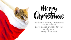 Biały Christmas Greeting Film w tle na Facebooka Template