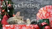 Merry Christmas Greeting Video Cat Funny Gift template