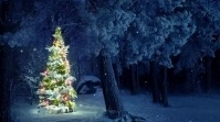 Merry Christmas video Digitalt display (16:9) template