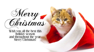 Biały Christmas Greeting Card Film w tle na Facebooka Template