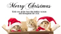 Merry Christmas Wishes Greeting Video Cats Ad Видеообложка профиля Facebook (16:9) template