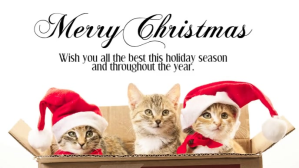 White Christmas Greeting Film w tle na Facebooka Template