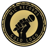 Mic Microphone Circle Gold Transparent Logo template