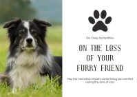 Minimal Dog Sympathy Card Postcard template