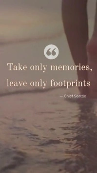 Minimalist Beach Quote Poster – Take Only Memories, Leave Only Footprints Instagram Reel template