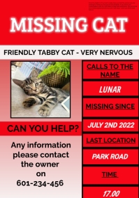 MISSING CAT A5 POSTER template