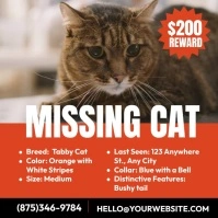 Missing Cat Instagram Post template