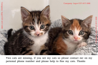 Missing cat Etykieta template