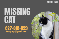 Missing cat Etykieta template