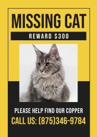 Missing Cat A4 template