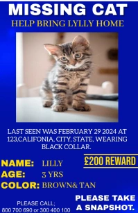 Missing cat design template แทบลอยด์