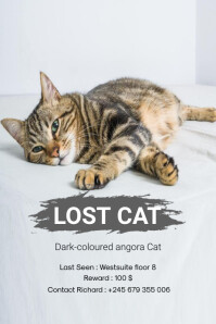 Missing cat Poster template