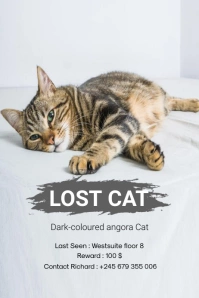 Missing cat โปสเตอร์ template