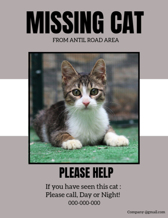 Missing cat Flyer (US Letter) template