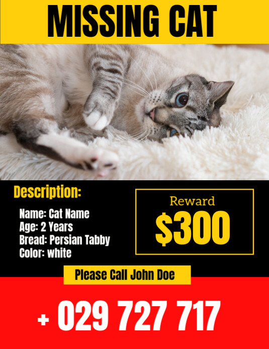 Missing cat Pamflet (Letter AS) template