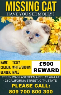 Missing cat design template Tabloid