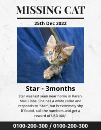 Missing Cat Flyer (US Letter) template