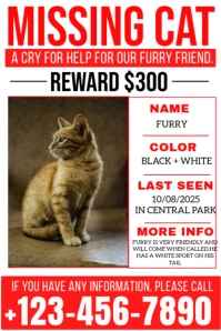 Missing Cat editable modern design Poster template