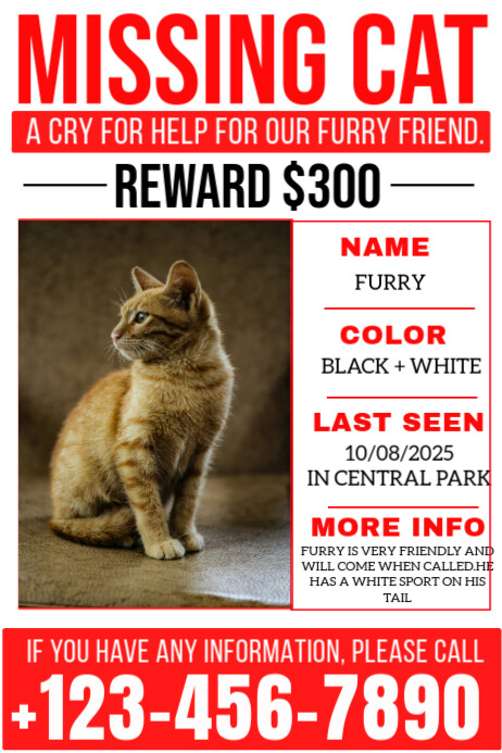 Missing Cat editable modern design Poster template