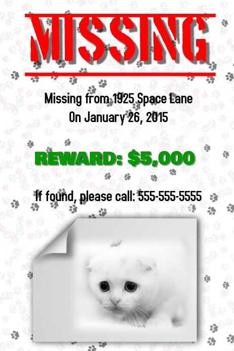 Missing Cat Flyer Template Postermywall