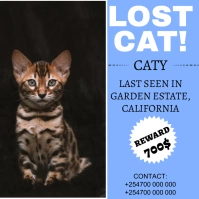 Missing Cat Poster Publicación de Instagram template