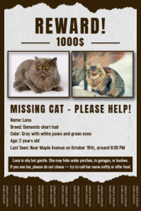 Missing Cat Poster Flyer Template