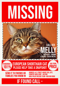 Missing Cat Poster Template A4