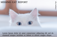Missing cat report Etykieta template