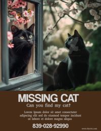 Missing cat report flyer Ulotka (US Letter) template