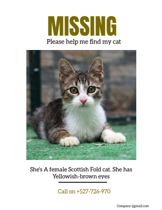 Missing cat report flyer template