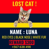 Missing cat template/ lost cat Instagram Post