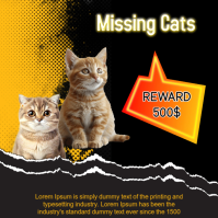 Missing Cats โพสต์บน Instagram template