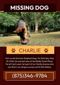 Missing Dog A4 template