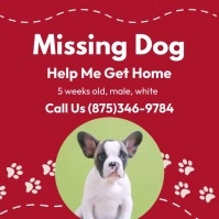 Missing Dog Instagram-bericht template