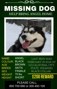 missing dog design template Tabloid
