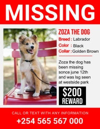 Missing dog Iflaya (Incwadi ye-US) template