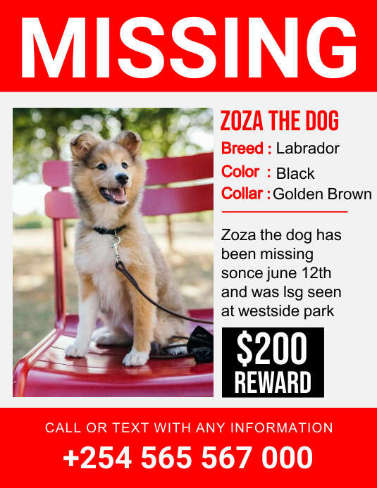 Missing dog Template PosterMyWall