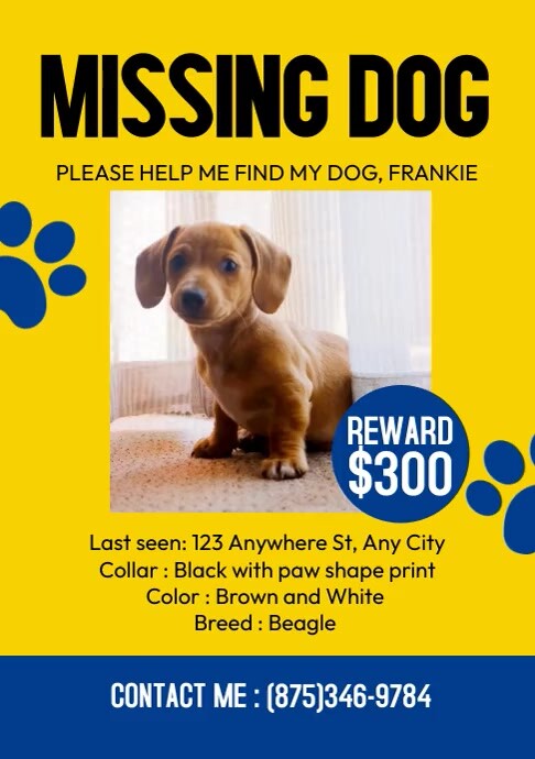 Missing Dog Message Missing Dog Template | PosterMyWall